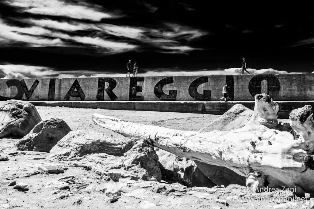 Sol&Mare Hotel Viareggio Eksteriør billede